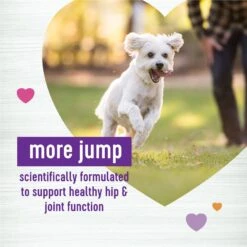 Wellness Move Hip & Joint Chicken Flavor Chew Supplements For Dogs & Wellness Complete Health Senior Deboned Chicken & Barley Recipe Dry Dog Food -Pet Wellness 783726 PT2. AC SS1800 V1677518569