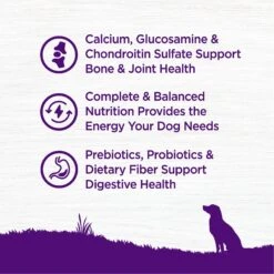Wellness Move Hip & Joint Chicken Flavor Chew Supplements For Dogs & Wellness Complete Health Senior Deboned Chicken & Barley Recipe Dry Dog Food -Pet Wellness 783726 PT8. AC SS1800 V1677515908