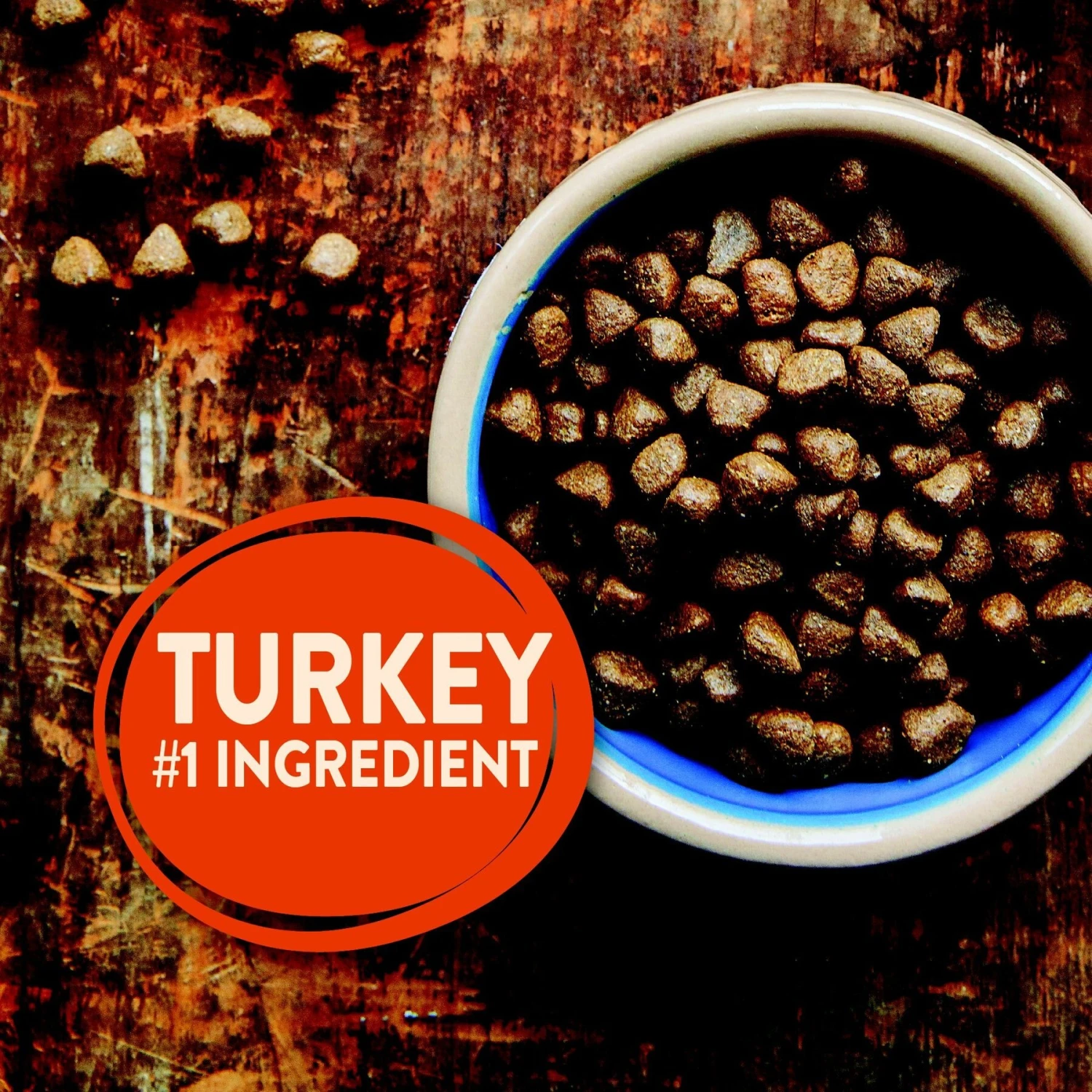 Wellness Move Hip & Joint Chicken Flavor Chew Supplements For Dogs & Wellness CORE Grain-Free Senior Deboned Turkey Recipe Dry Dog Food 8 Wellness Move Hip & Joint Chicken Flavor Chew Supplements For Dogs & Wellness CORE Grain-Free Senior Deboned Turkey Recipe Dry Dog Food - Image 8