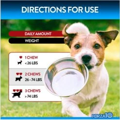 Forza10 Skin & Coat Salmon Flavored Soft Chews Skin & Coat Supplement For Dogs, 90 Count -Pet Wellness 783782 PT4. AC SS1800 V1680277411