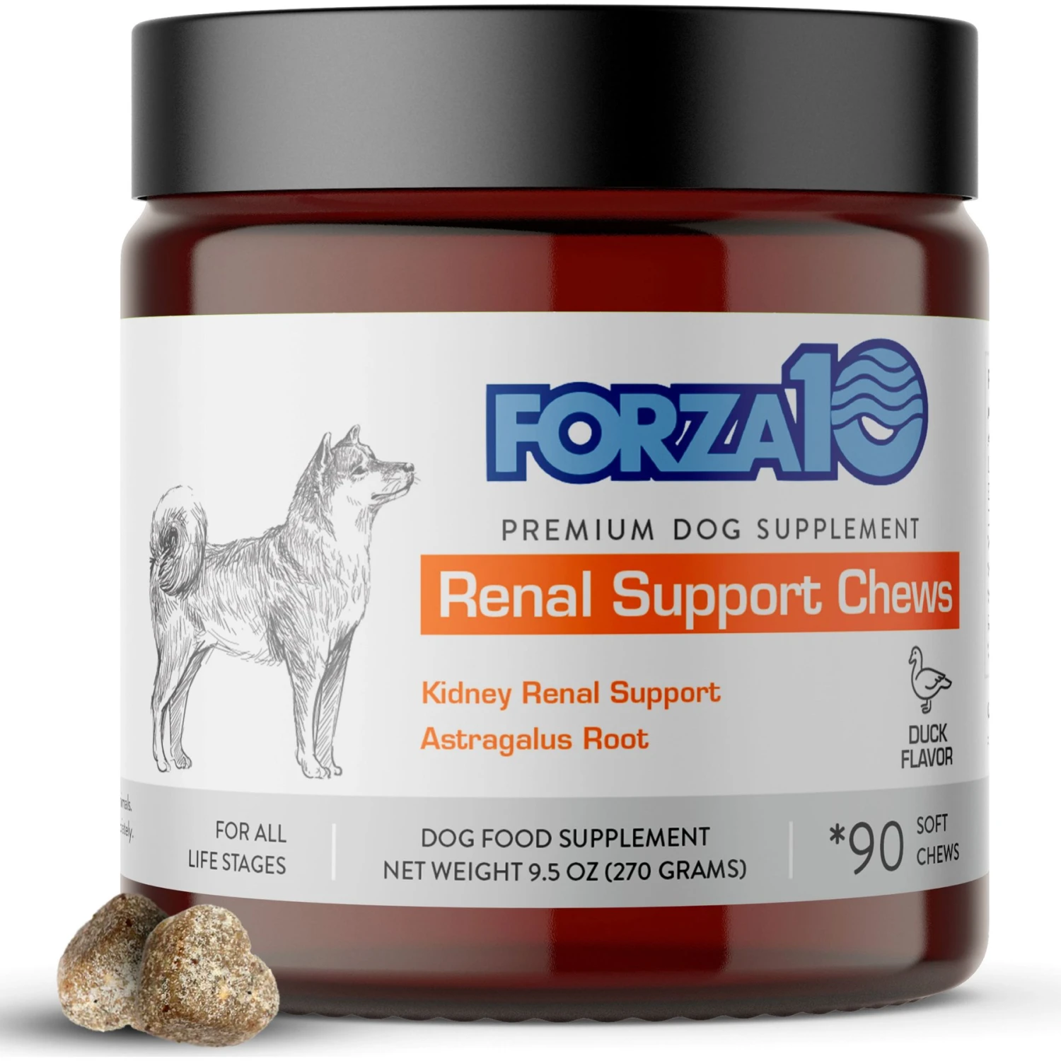 Forza10 Renal Support Duck Flavored Soft Chews Kidney & Urinary Dog Supplement, 90 Count 1 Forza10 Renal Support Duck Flavored Soft Chews Kidney & Urinary Dog Supplement, 90 Count