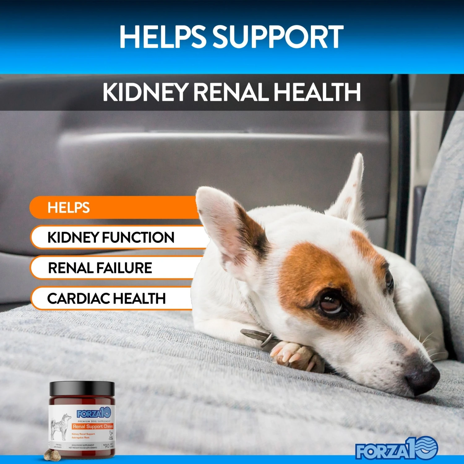 Forza10 Renal Support Duck Flavored Soft Chews Kidney & Urinary Dog Supplement, 90 Count 2 Forza10 Renal Support Duck Flavored Soft Chews Kidney & Urinary Dog Supplement, 90 Count - Image 2