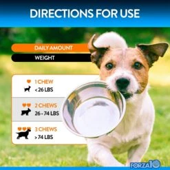 Forza10 Renal Support Duck Flavored Soft Chews Kidney & Urinary Dog Supplement, 90 Count 9 Forza10 Renal Support Duck Flavored Soft Chews Kidney & Urinary Dog Supplement, 90 Count -Pet Wellness 783798 PT4. AC SS1800 V1680273682