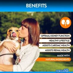 Forza10 Renal Support Duck Flavored Soft Chews Kidney & Urinary Dog Supplement, 90 Count 10 Forza10 Renal Support Duck Flavored Soft Chews Kidney & Urinary Dog Supplement, 90 Count -Pet Wellness 783798 PT5. AC SS1800 V1680274797