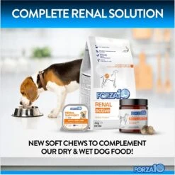 Forza10 Renal Support Duck Flavored Soft Chews Kidney & Urinary Dog Supplement, 90 Count 11 Forza10 Renal Support Duck Flavored Soft Chews Kidney & Urinary Dog Supplement, 90 Count -Pet Wellness 783798 PT6. AC SS1800 V1680277410