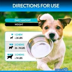 Forza10 Multifunction Peanut Butter Soft Chews Dog Supplement, 90 Count -Pet Wellness 783814 PT4. AC SS1800 V1680273703