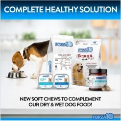 Forza10 Multifunction Peanut Butter Soft Chews Dog Supplement, 90 Count -Pet Wellness 783814 PT6. AC SS1800 V1680277412