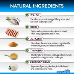 Forza10 Digestive Probiotics Duck Flavored Soft Chews Digestive Supplement For Dogs, 90 Count 9 Forza10 Digestive Probiotics Duck Flavored Soft Chews Digestive Supplement For Dogs, 90 Count -Pet Wellness 783830 PT2. AC SS1800 V1680273733