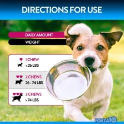 Forza10 Digestive Probiotics Duck Flavored Soft Chews Digestive Supplement For Dogs, 90 Count 11 Forza10 Digestive Probiotics Duck Flavored Soft Chews Digestive Supplement For Dogs, 90 Count -Pet Wellness 783830 PT4. AC SS1800 V1680273743