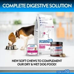 Forza10 Digestive Probiotics Duck Flavored Soft Chews Digestive Supplement For Dogs, 90 Count 13 Forza10 Digestive Probiotics Duck Flavored Soft Chews Digestive Supplement For Dogs, 90 Count -Pet Wellness 783830 PT6. AC SS1800 V1680273741
