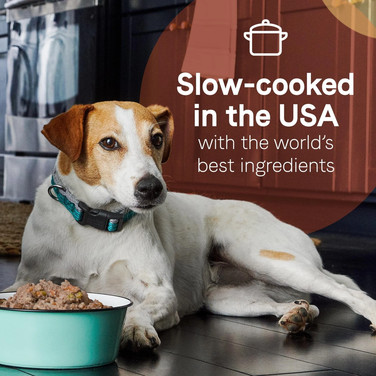 CANIDAE PURE 2-in-1 Goodness Pate Recipe Real Salmon & Sweet Potatoes In Bone Broth Wet Dog Food, 11.5-oz Box, Case Of 6 5 CANIDAE PURE 2-in-1 Goodness Pate Recipe Real Salmon & Sweet Potatoes In Bone Broth Wet Dog Food, 11.5-oz Box, Case Of 6 - Image 5