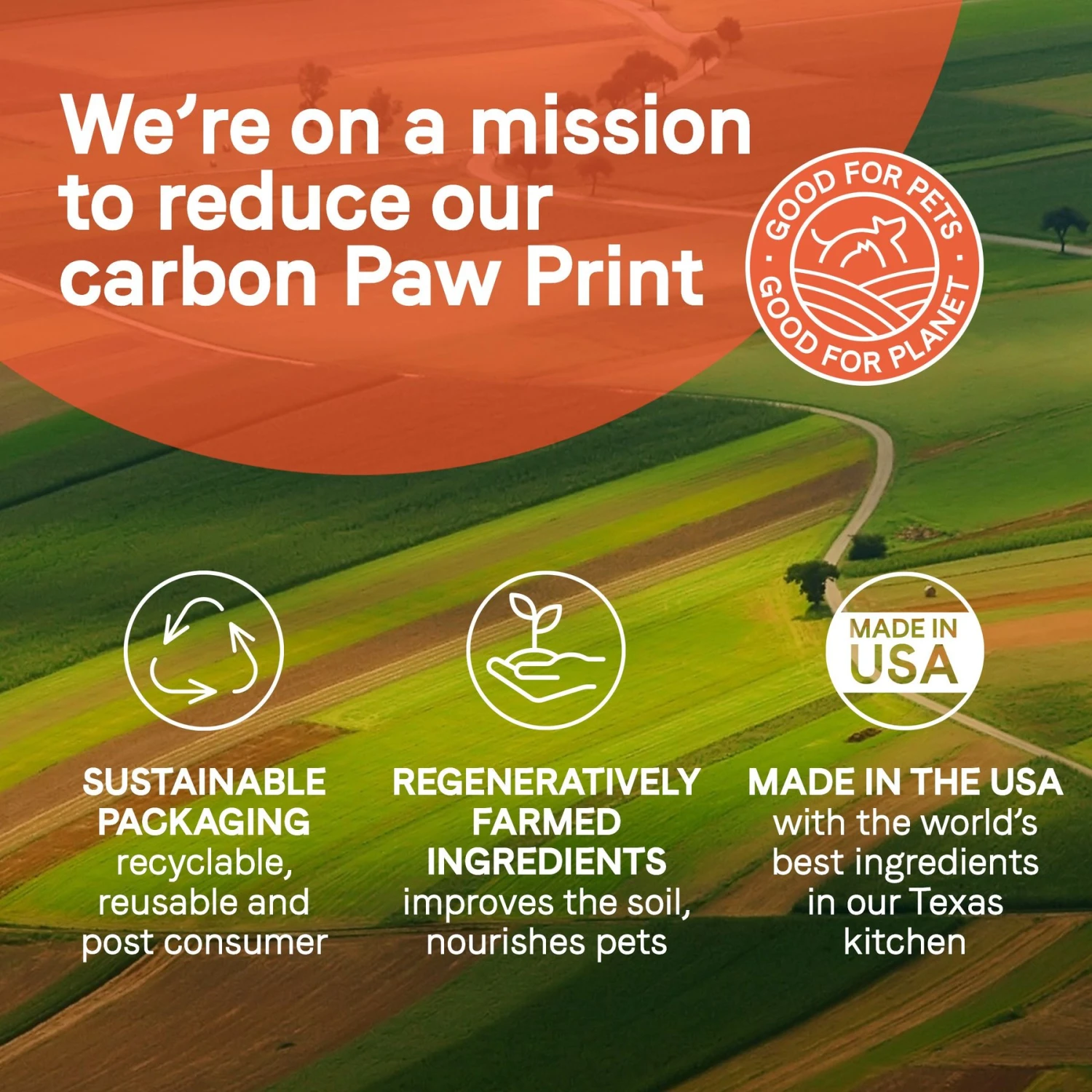 CANIDAE PURE 2-in-1 Goodness Pate Recipe Real Salmon & Sweet Potatoes In Bone Broth Wet Dog Food, 11.5-oz Box, Case Of 6 8 CANIDAE PURE 2-in-1 Goodness Pate Recipe Real Salmon & Sweet Potatoes In Bone Broth Wet Dog Food, 11.5-oz Box, Case Of 6 - Image 8