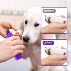 Casfuy 2-Speed Electric Dog Nail Grinder With LED Light, Purple -Pet Wellness 787894 PT6. AC SS1800 V1683297518