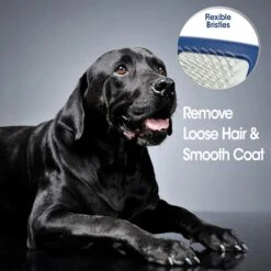 Four Paws Magic Coat Professional Series Dog Slicker Brush -Pet Wellness 78996 PT3. AC SS1800 V1600386056