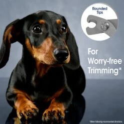 Four Paws Magic Coat Professional Series Easy-Grip Nail Clipper, Small -Pet Wellness 79065 PT3. AC SS1800 V1630361790