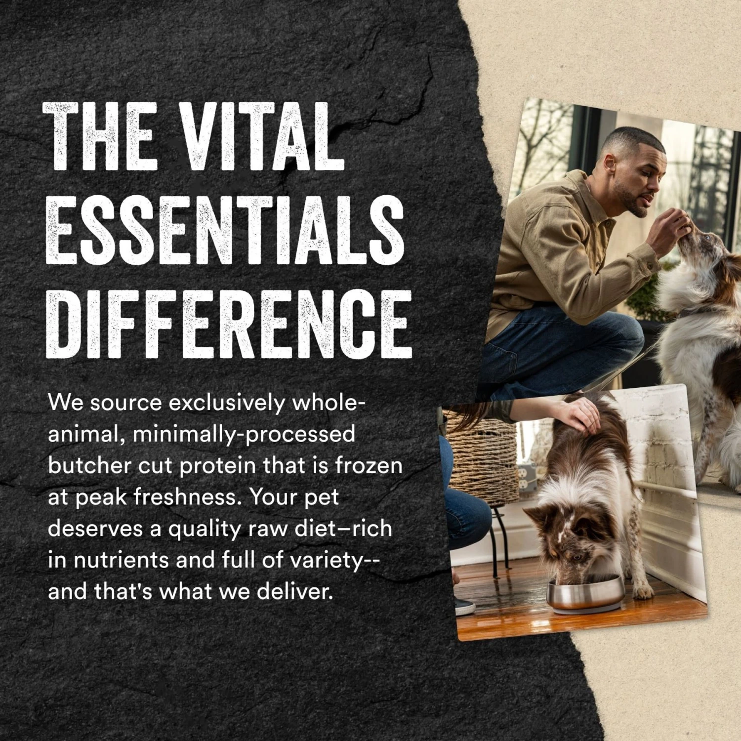 Vital Essentials Rabbit Mini Patties Entree Freeze-Dried Raw Dog Food 6 Vital Essentials Rabbit Mini Patties Entree Freeze-Dried Raw Dog Food - Image 6