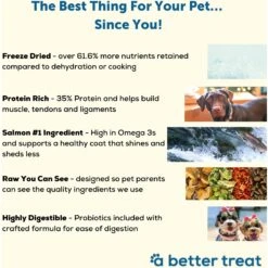 A Better Treat Raw Salmon Dog Freeze-Dried Food 8 A Better Treat Raw Salmon Dog Freeze-Dried Food -Pet Wellness 793886 PT2. AC SS1800 V1677693645