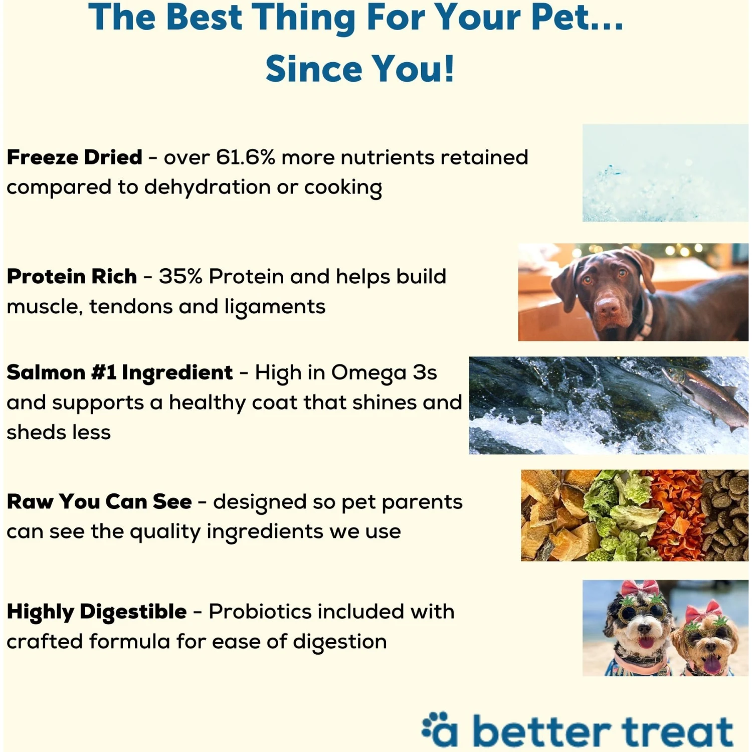 A Better Treat Raw Salmon Dog Freeze-Dried Food 3 A Better Treat Raw Salmon Dog Freeze-Dried Food - Image 3