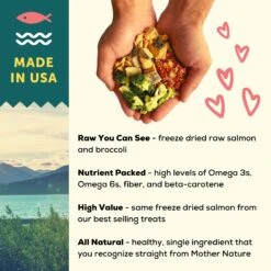 A Better Treat Raw Salmon Dog Freeze-Dried Food 9 A Better Treat Raw Salmon Dog Freeze-Dried Food -Pet Wellness 793886 PT3. AC SS1800 V1677694149