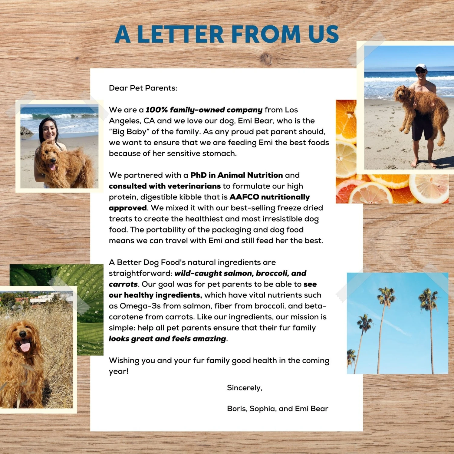 A Better Treat Raw Salmon Dog Freeze-Dried Food 6 A Better Treat Raw Salmon Dog Freeze-Dried Food - Image 6