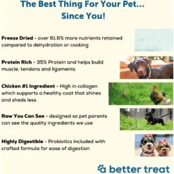 A Better Treat Chicken Dog Freeze-Dried Food 8 A Better Treat Chicken Dog Freeze-Dried Food -Pet Wellness 793918 PT2. AC SS1800 V1677694030