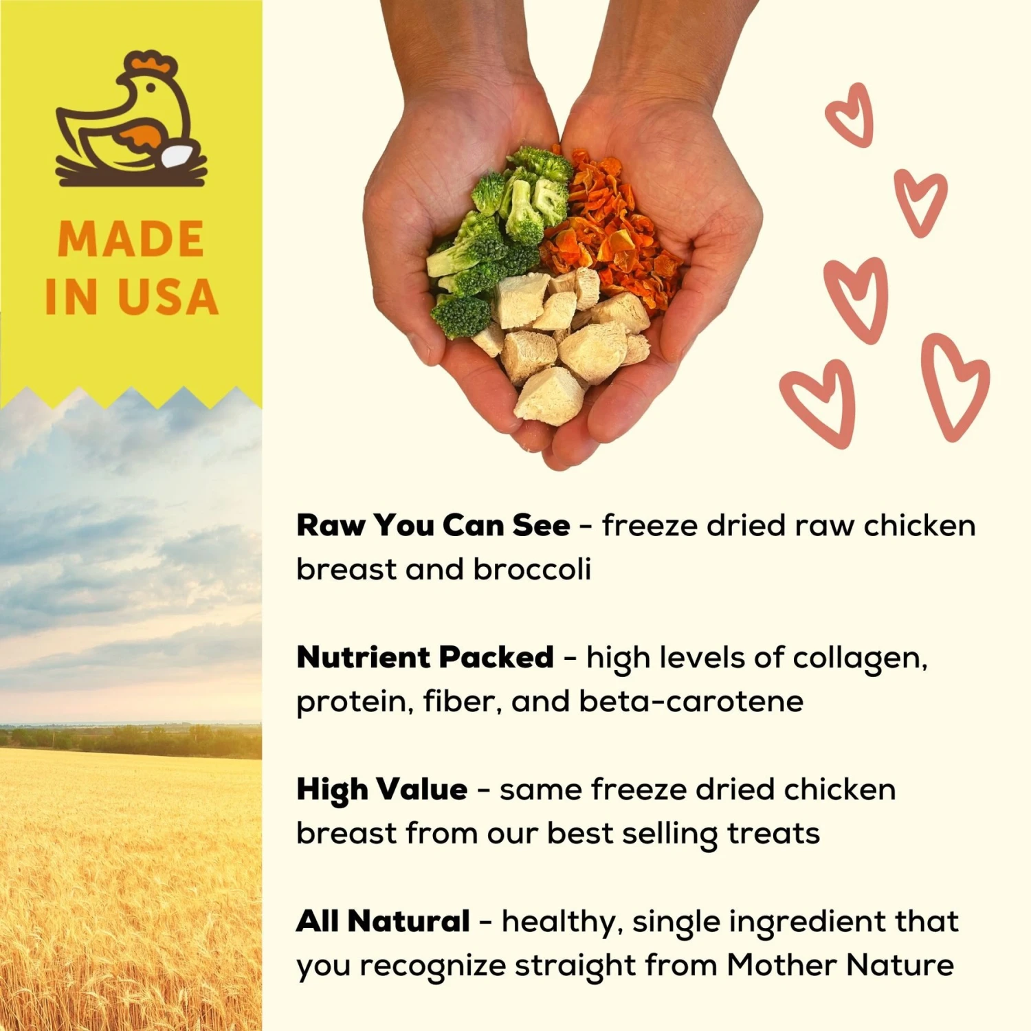 A Better Treat Chicken Dog Freeze-Dried Food 4 A Better Treat Chicken Dog Freeze-Dried Food - Image 4