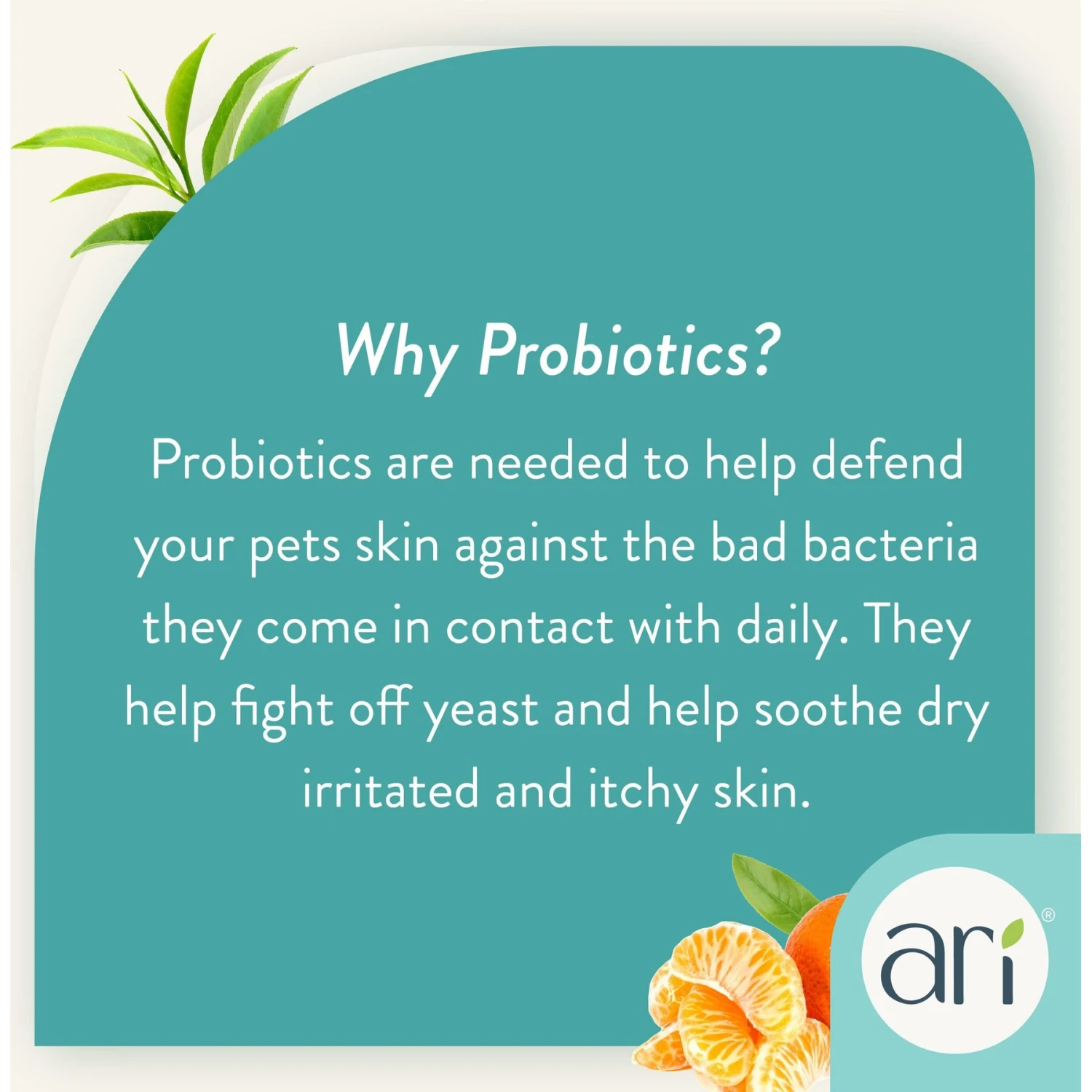 Health Extension ARI Probiotic Green Tea & Mandarin Dog Deodorizer Spray, 8-oz Bottle 6 Health Extension ARI Probiotic Green Tea & Mandarin Dog Deodorizer Spray, 8-oz Bottle - Image 6