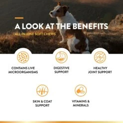 NaturVet All-in-One Soft Chews Multivitamin For Dogs -Pet Wellness 80366 PT4. AC SS1800 V1698695696