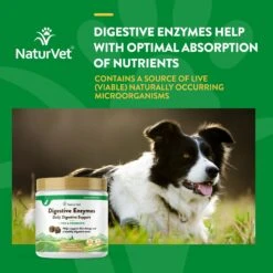 NaturVet Digestive Enzymes Plus Probiotic Soft Chews Digestive Supplement For Dogs -Pet Wellness 80375 PT3. AC SS1800 V1698695294