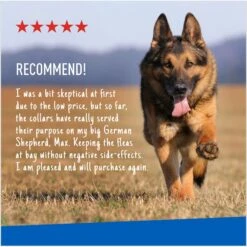 Adams® Adams Flea & Tick Collar PLUS For Dogs & Puppies, 1 Count -Pet Wellness 804246 PT6. AC SS1800 V1697032128