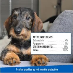 Adams® Adams Flea & Tick Collar PLUS For Dogs & Puppies, 1 Count -Pet Wellness 804246 PT7. AC SS1800 V1697032128