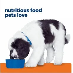 Hill's Prescription Diet C/d Multicare Urinary Care Chicken & Vegetable Stew Canned Dog Food 16 Hill's Prescription Diet C/d Multicare Urinary Care Chicken & Vegetable Stew Canned Dog Food -Pet Wellness 80492 PT7. AC SS1800 V1676910310