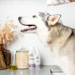 Skout's Honor Probiotic Itch Relief Dog & Cat Shampoo, 16-oz Bottle -Pet Wellness 808118 PT6. AC SS1800 V1680192252