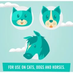 Zymox Ear Infection Solution With .5% Hydrocortisone For Dogs & Cats, 1.25-oz Bottle & Frisco Ear Wipes For Dogs, 100 Count -Pet Wellness 808334 PT8. AC SS1800 V1679065300