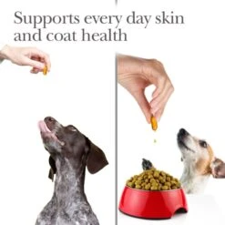 Nutri-Vet Fish Oil Softgels Skin & Coat Supplement For Dogs -Pet Wellness 80844 PT2. AC SS1800 V1657661031