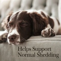 Nutri-Vet Fish Oil Softgels Skin & Coat Supplement For Dogs -Pet Wellness 80844 PT3. AC SS1800 V1657661030