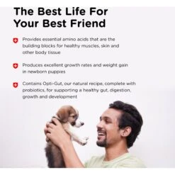 Nutri-Vet Powder Milk Supplement For Dogs -Pet Wellness 80851 PT3. AC SS1800 V1657661031