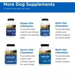 Nutri-Vet Adult-Vite Soft Chews Multivitamin For Dogs -Pet Wellness 80855 PT5. AC SS1800 V1657661031
