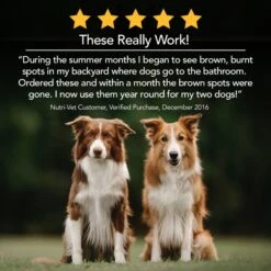 Nutri-Vet Grass Guard Max Chewable Tablets Urinary & Lawn Protection Supplement For Dogs -Pet Wellness 80872 PT5. AC SS1800 V1589817071