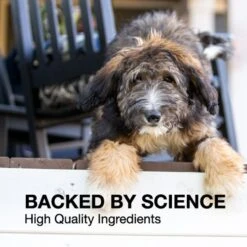 Nutramax Denosyl Tablets Liver & Brain Supplement For Large Dogs, 30 Count -Pet Wellness 81139 PT3. AC SS1800 V1668631462