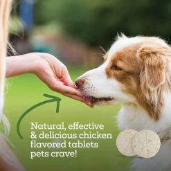 TevraPet Naturals Oral Flea & Tick Chew Supplement For Dogs & Cats, 120 Count -Pet Wellness 812606 PT7. AC SS1800 V1683136268