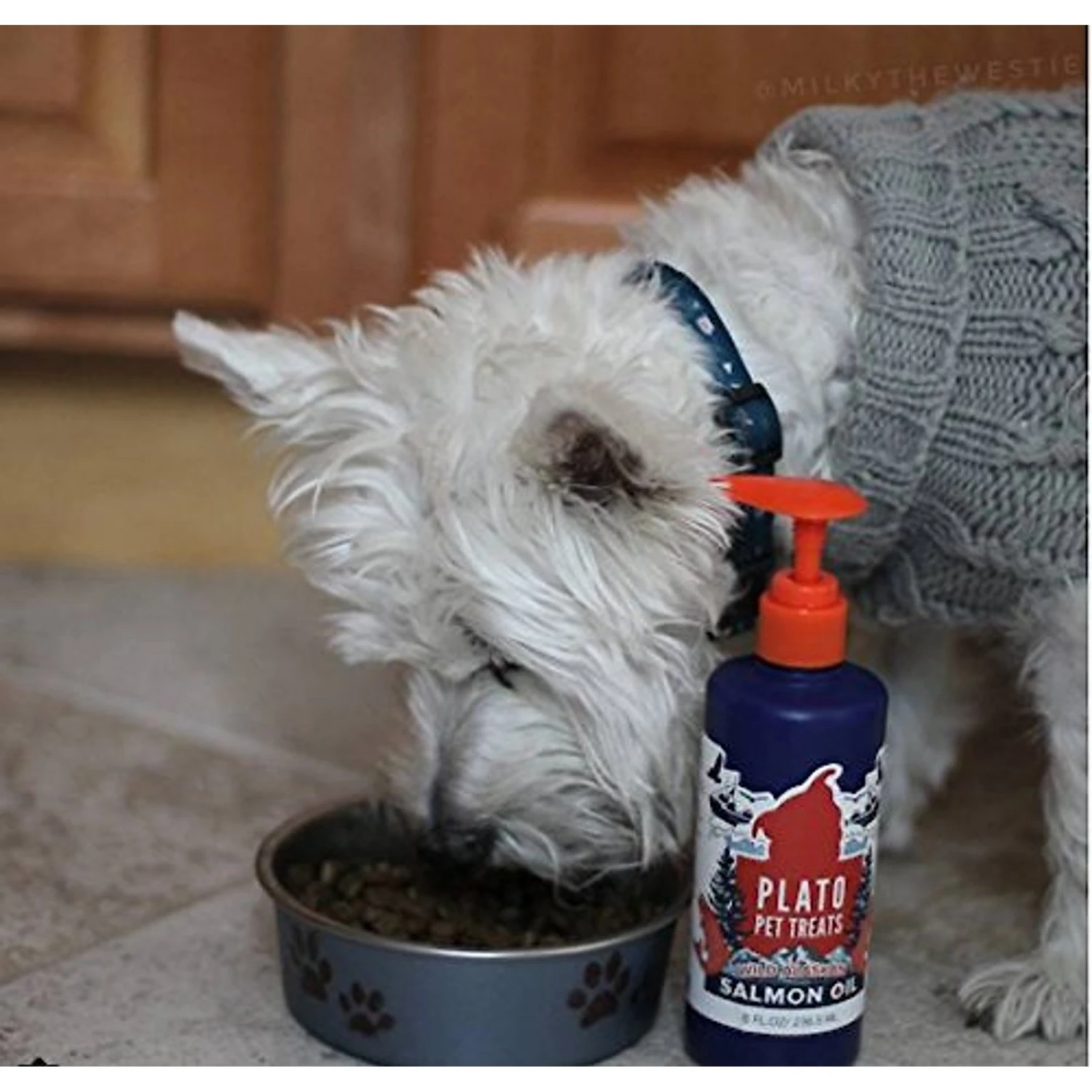 Plato Wild Alaskan Salmon Oil Dog & Cat Supplement 2 Plato Wild Alaskan Salmon Oil Dog & Cat Supplement - Image 2