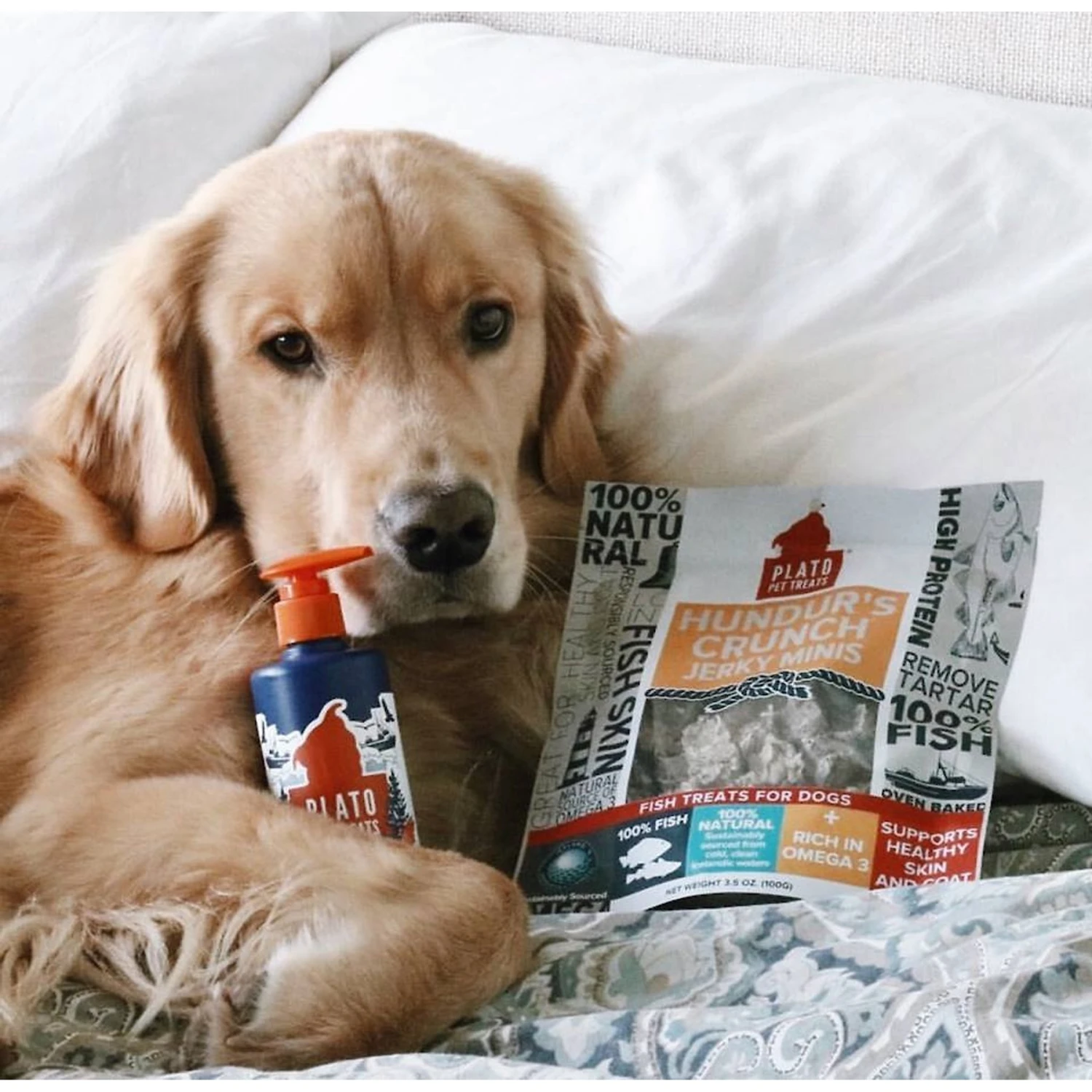 Plato Wild Alaskan Salmon Oil Dog & Cat Supplement 4 Plato Wild Alaskan Salmon Oil Dog & Cat Supplement - Image 4