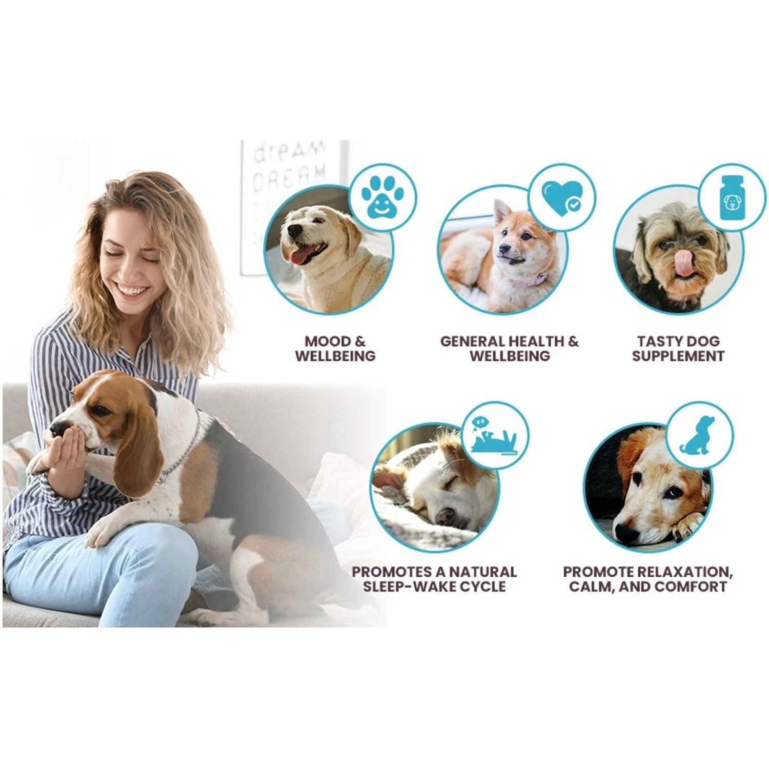 K9 Select Melatonin Beef Flavor Calming Dog Supplement, 6-mg, 90 Count 2 K9 Select Melatonin Beef Flavor Calming Dog Supplement, 6-mg, 90 Count - Image 2