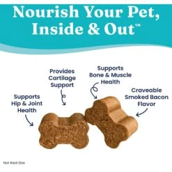 Solid Gold Leaps & Hounds Joint Health Chews Supplement For Dogs, 120 Count 11 Solid Gold Leaps & Hounds Joint Health Chews Supplement For Dogs, 120 Count -Pet Wellness 819286 PT2. AC SS1800 V1695500757