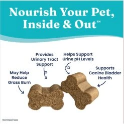 Solid Gold Grass Guardian Cranberry Soft Chews Lawn Protection Urinary Supplement For Dogs 11 Solid Gold Grass Guardian Cranberry Soft Chews Lawn Protection Urinary Supplement For Dogs -Pet Wellness 819318 PT2. AC SS1800 V1695931866