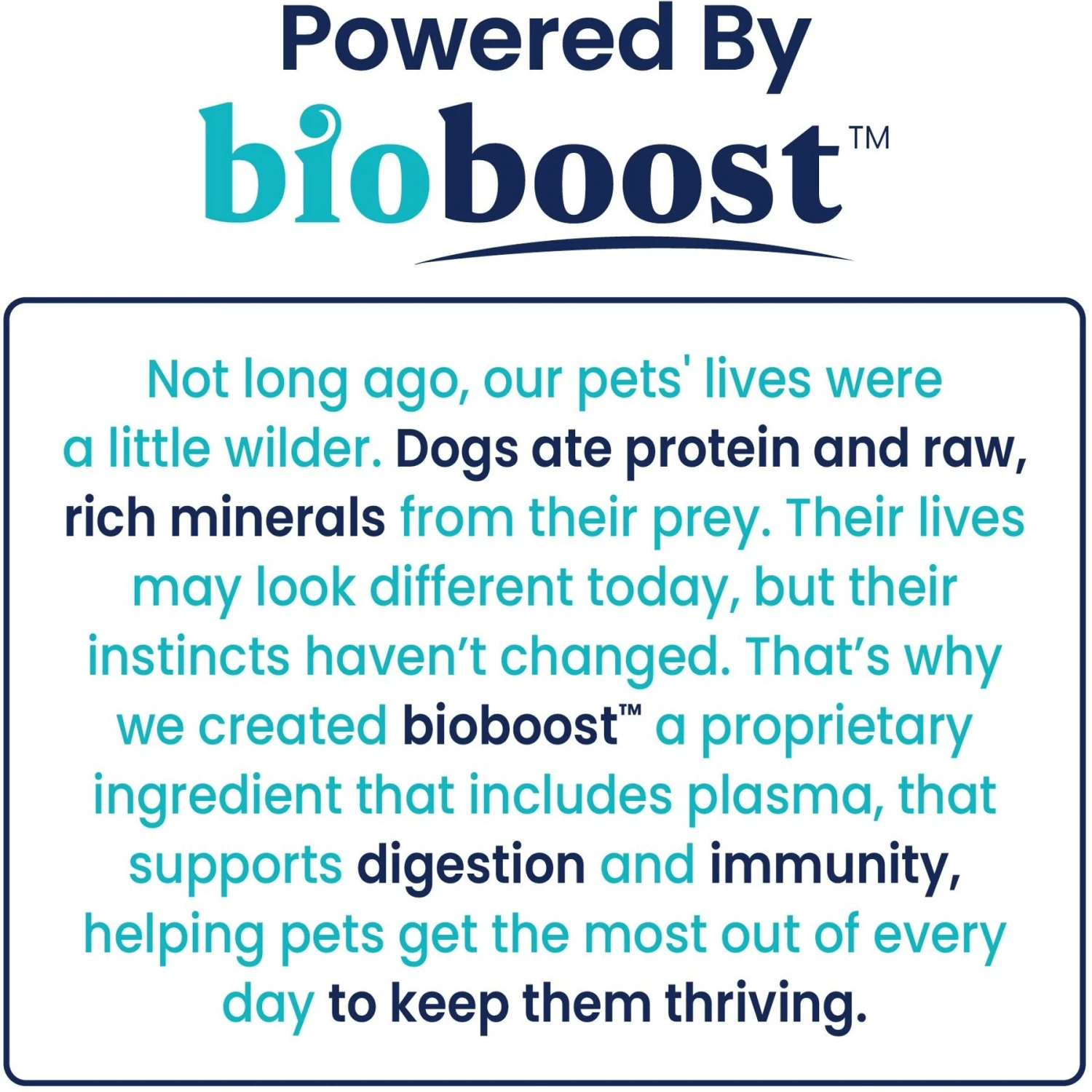 Solid Gold Grass Guardian Cranberry Soft Chews Lawn Protection Urinary Supplement For Dogs 9 Solid Gold Grass Guardian Cranberry Soft Chews Lawn Protection Urinary Supplement For Dogs - Image 9