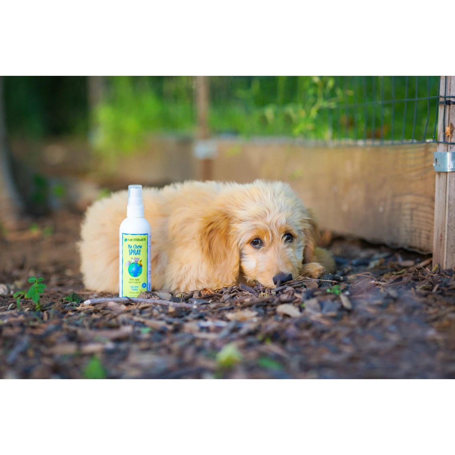 Earthbath No Chew Green Apple & Bitters Flavored Dog Spray, 8-oz Bottle 2 Earthbath No Chew Green Apple & Bitters Flavored Dog Spray, 8-oz Bottle - Image 2