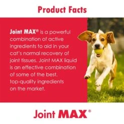 Joint MAX Regular Strength Chewable Tablets For Dogs & Cats -Pet Wellness 82360 PT5. AC SS1800 V1679690320