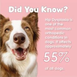 Joint MAX Double Strength Soft Chews For Dogs -Pet Wellness 82368 PT5. AC SS1800 V1685634868